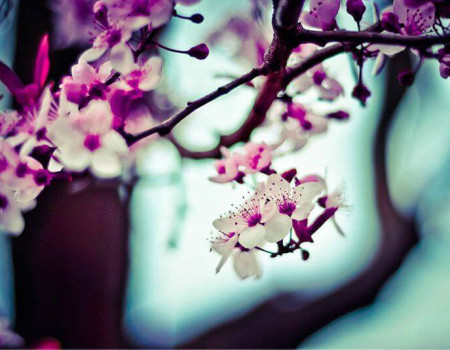 nexus-blog-1